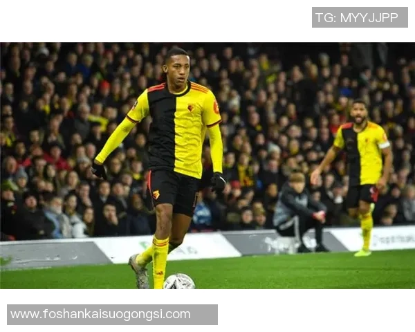 特兰米尔与沃特福德比赛结果及精彩瞬间回顾分析